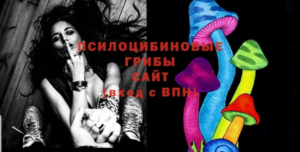 дживик Балахна