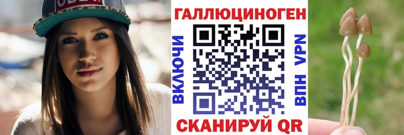 Галлюциногенные грибы Cubensis  Купить  Гороховец 